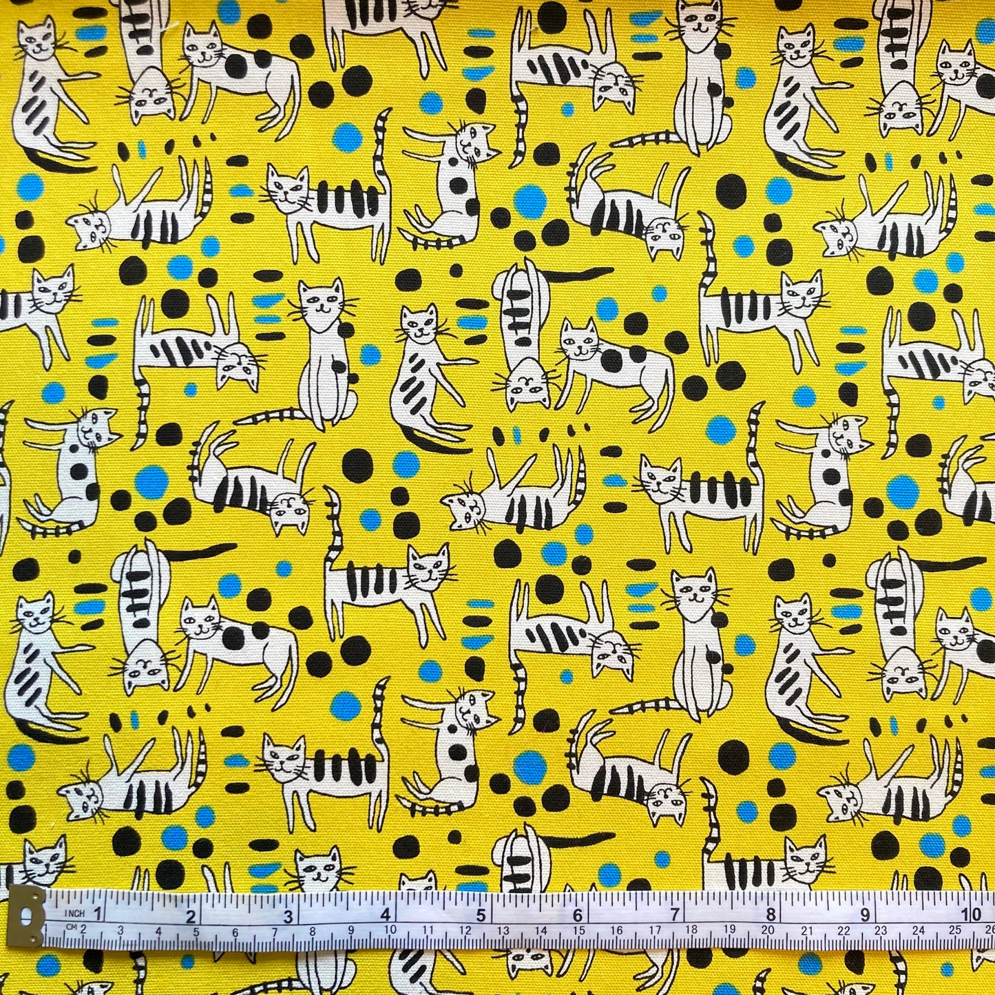 Cats - Yellow