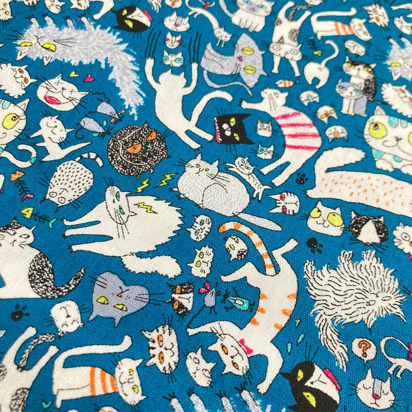 Lively Cats