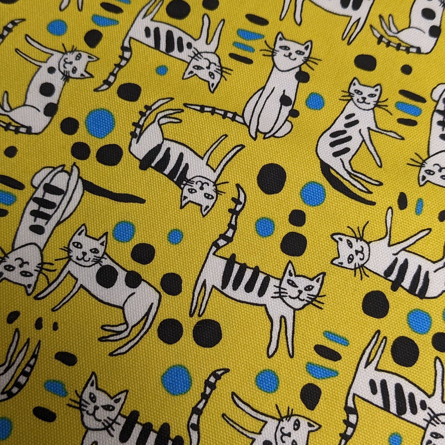 Cats - Yellow