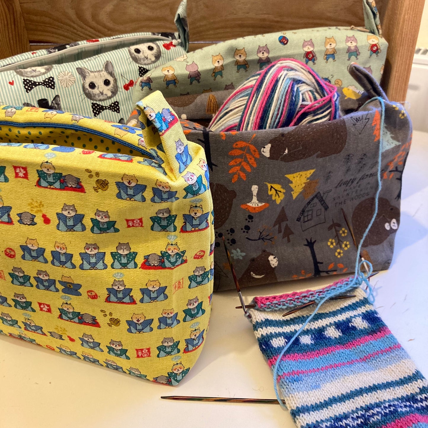 Project Bag - Socks and Small Things