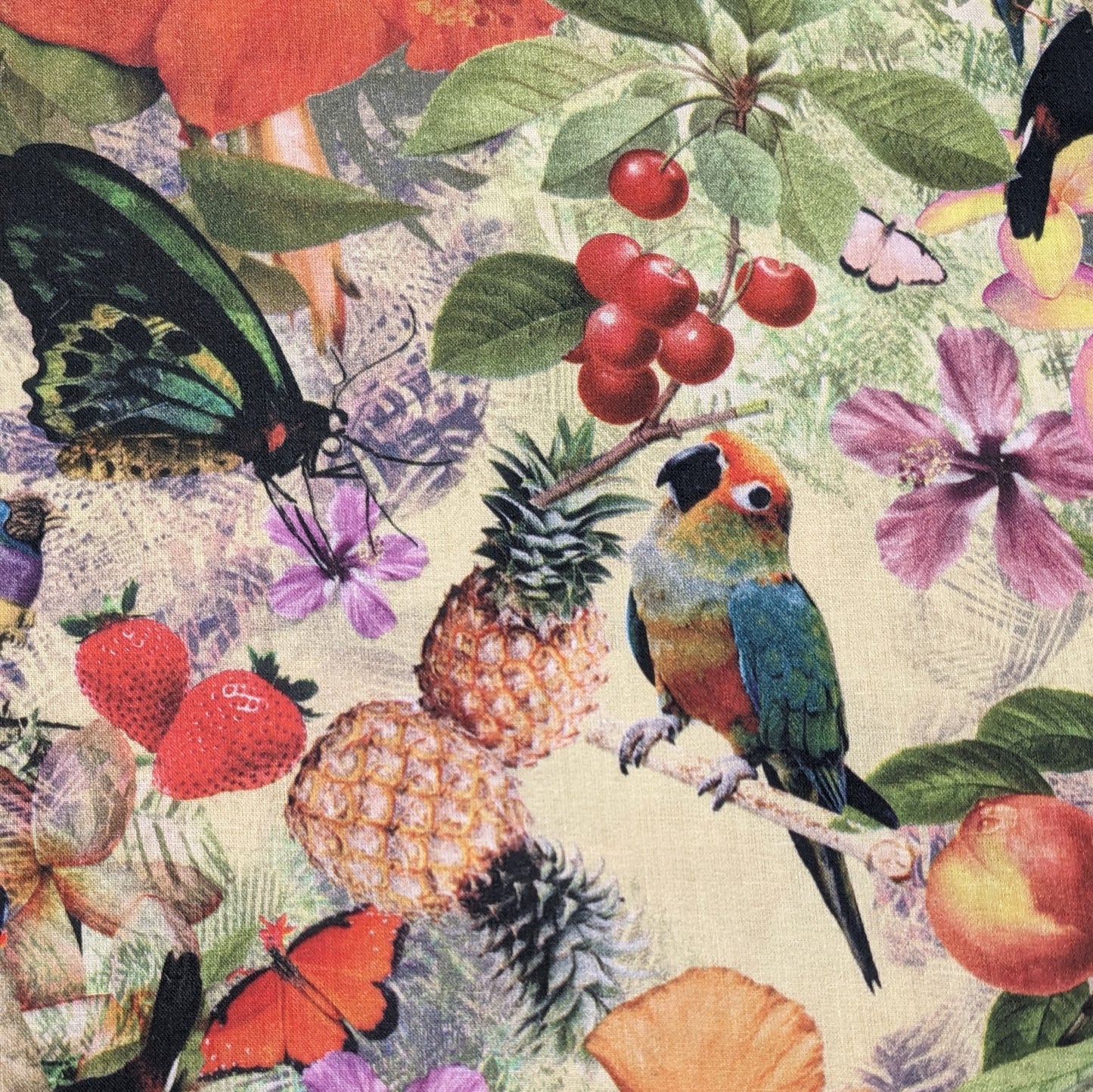 Cotton Lawn Fabric - Lady Mcelroy - Caribbean Fusion